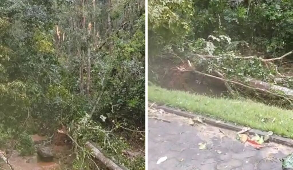Tempestades Severas: Moradores Relatam Tornado e Destruição em Cidades do Espírito Santo Imagem do artigo