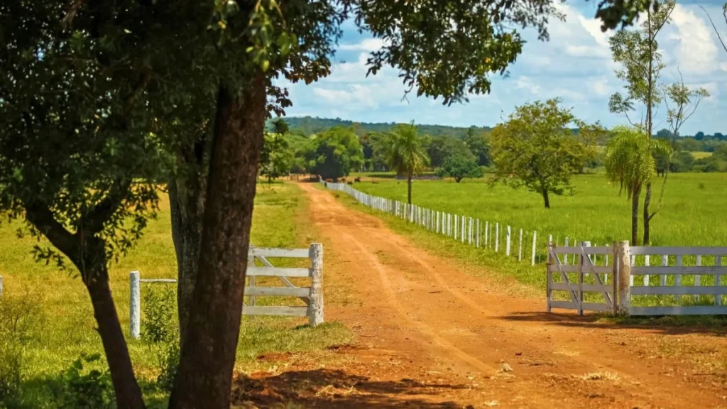 A Recuperação Judicial no Agronegócio: Um Desafio Crucial para o Setor em 2025