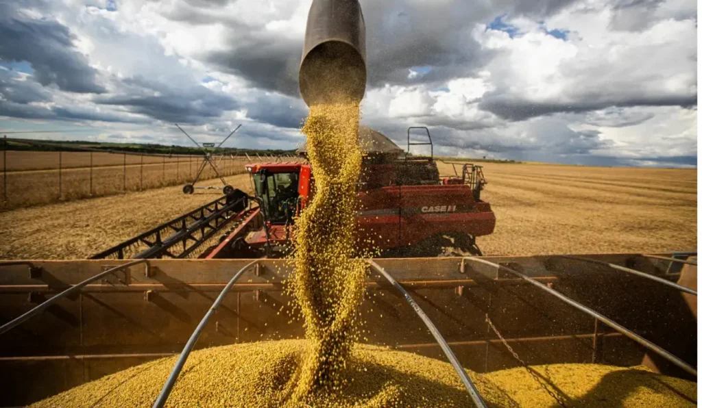 Agronegócio: De Recordes em 2025 a Estagnação Prevista em 2026