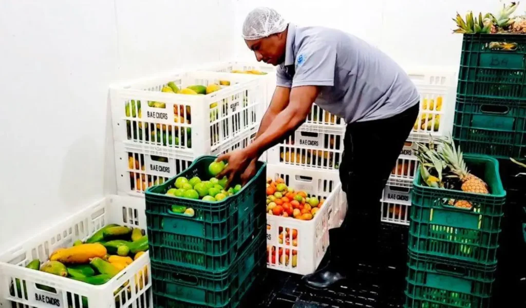 Cachoeiro de Itapemirim: Avanços na Assistência Social em 2025