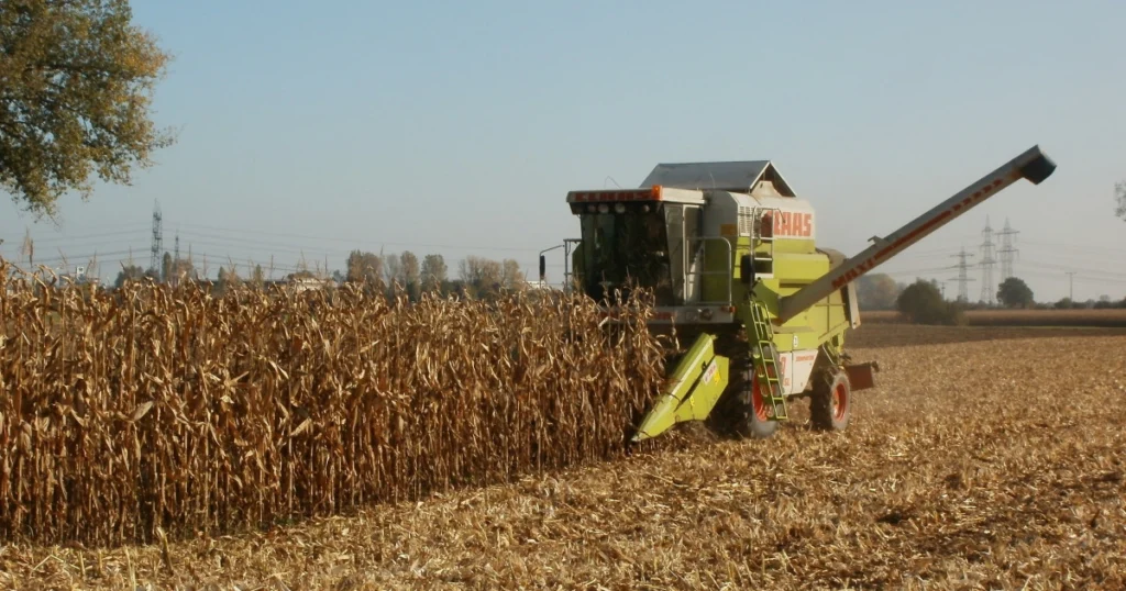 CMN Adia Novas Regras Ambientais Para Crédito Rural e Impactos no Agronegócio