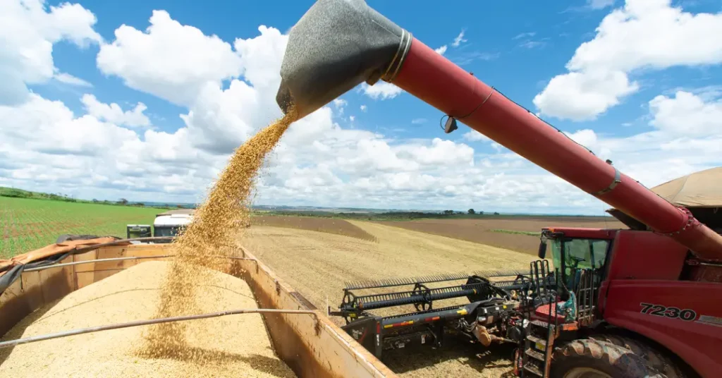 Desafios do Agronegócio e Previsões para o Governo Lula em 2026