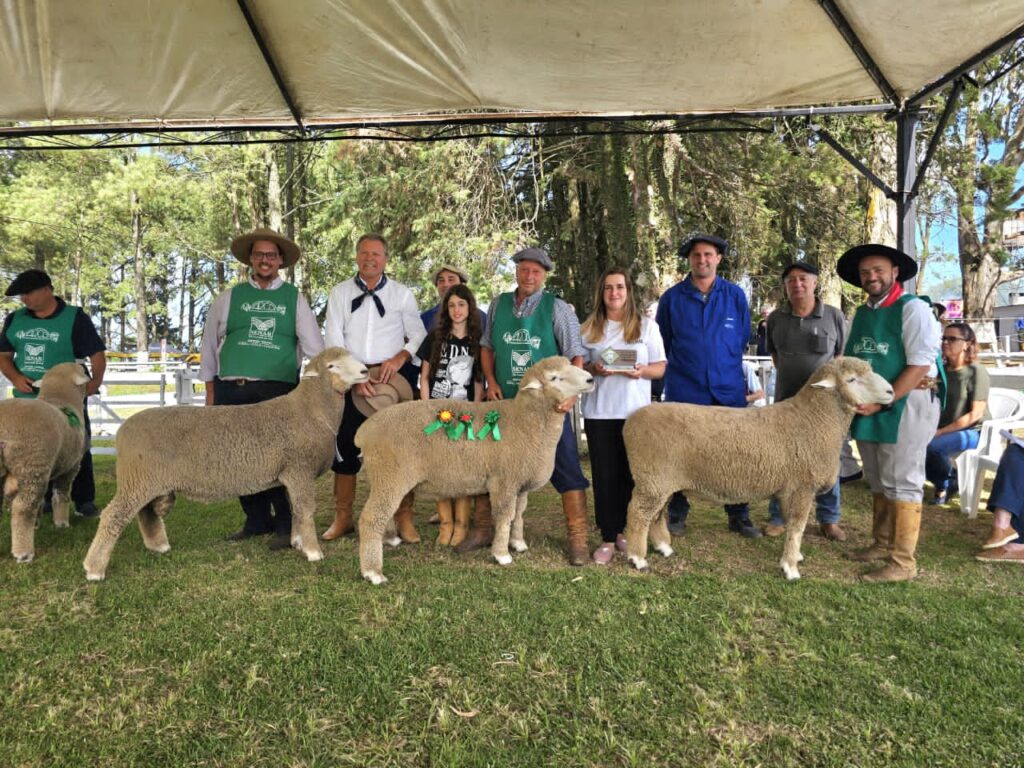 42ª Feovelha: Oportunidade para o Agronegócio com o Imperdível 'Feovelha Show'