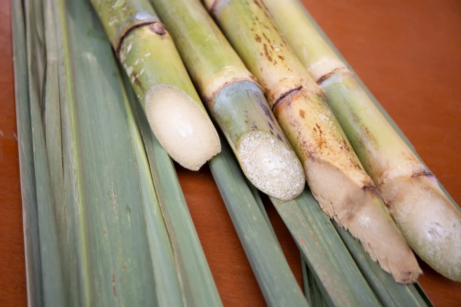 Agro Paulista Alcança Superávit de US$ 23 Bilhões em 2025