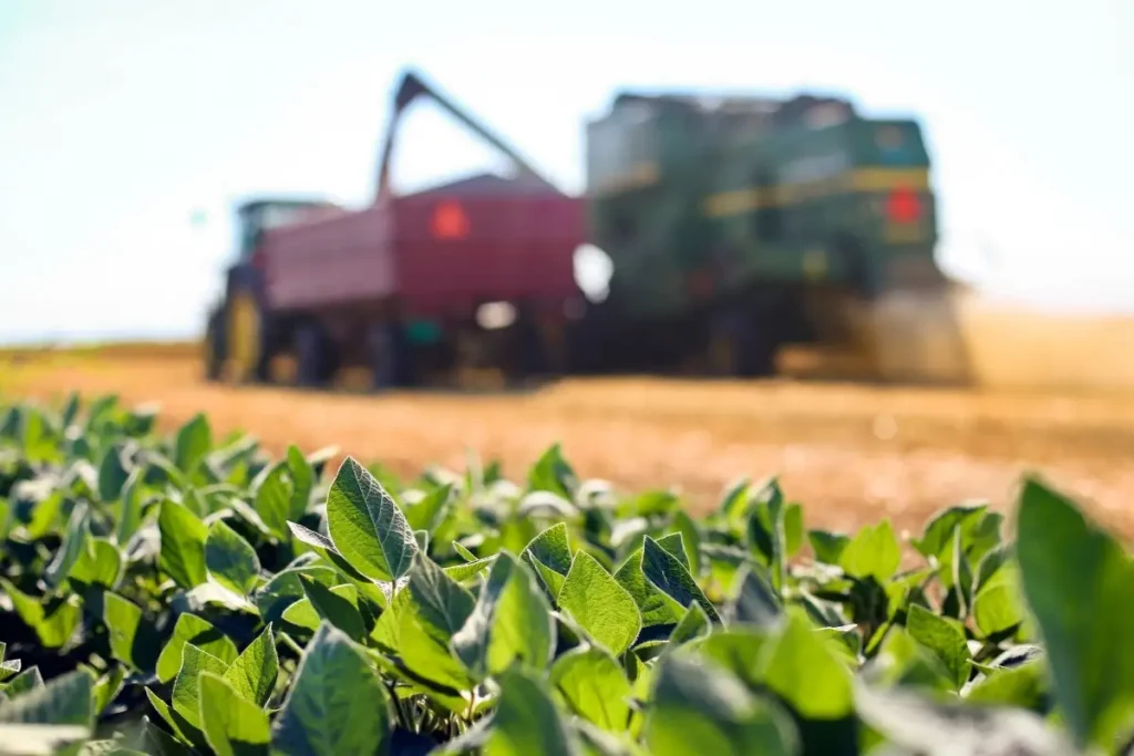 Agronegócio Brasileiro Sob Nova Ameaça: Sanções dos EUA Impactam Exportações