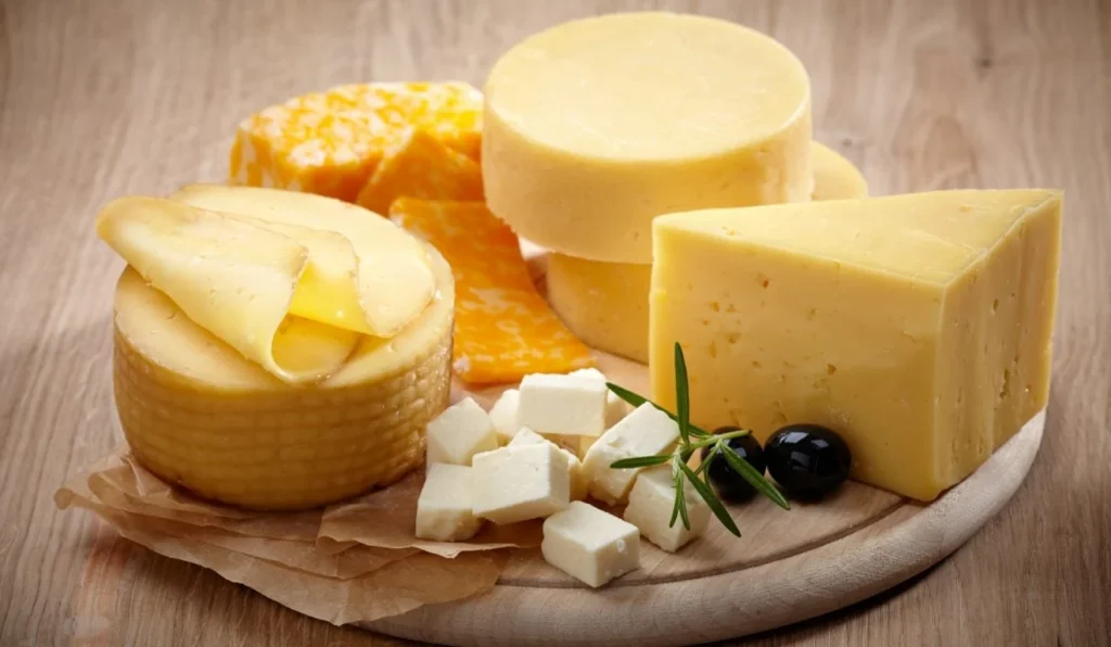 Concurso Estadual Reconhece os Melhores Queijos do Espírito Santo