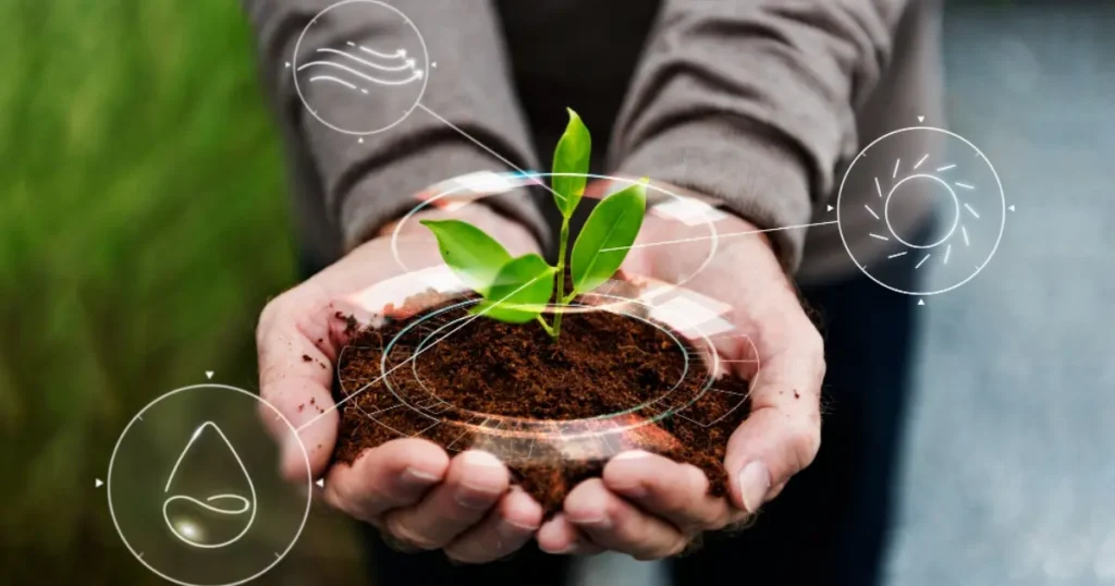 COP30: Agronegócio Brasileiro em Destaque na Agenda Climática Global