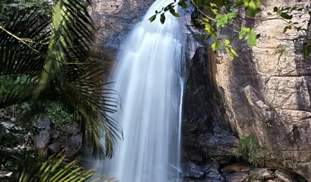 Corrida das Águas e dos Verdes: Esporte e Ecoturismo em Vargem Alta