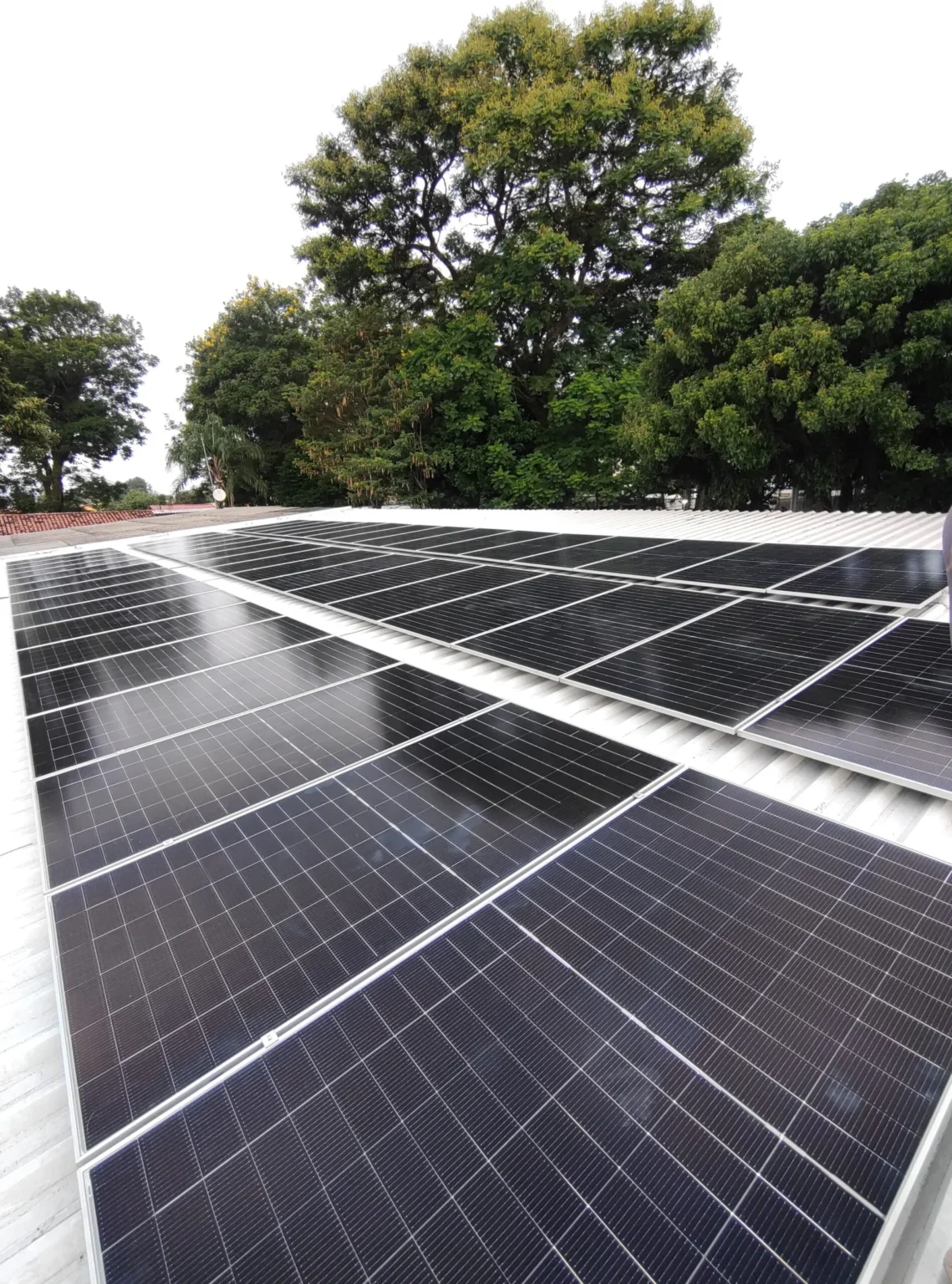 EDP Investirá R$ 650 Mil em Energia Solar para 19 Organizações Sociais em SP, ES e PR EDP Investirá R$ 650 Mil em Energia Solar para 19 Organizações Sociais em SP, ES e PR