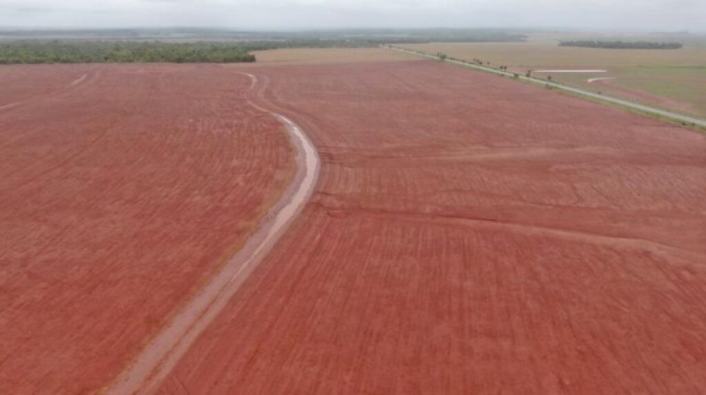 FCO Destina R$ 3,2 Bilhões em Mato Grosso do Sul: Intensa Demanda do Agronegócio