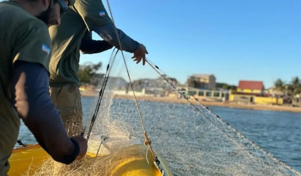 Iema Intensifica Fiscalização no Arquipélago das Três Ilhas e na Concha D’Ostra Neste Verão