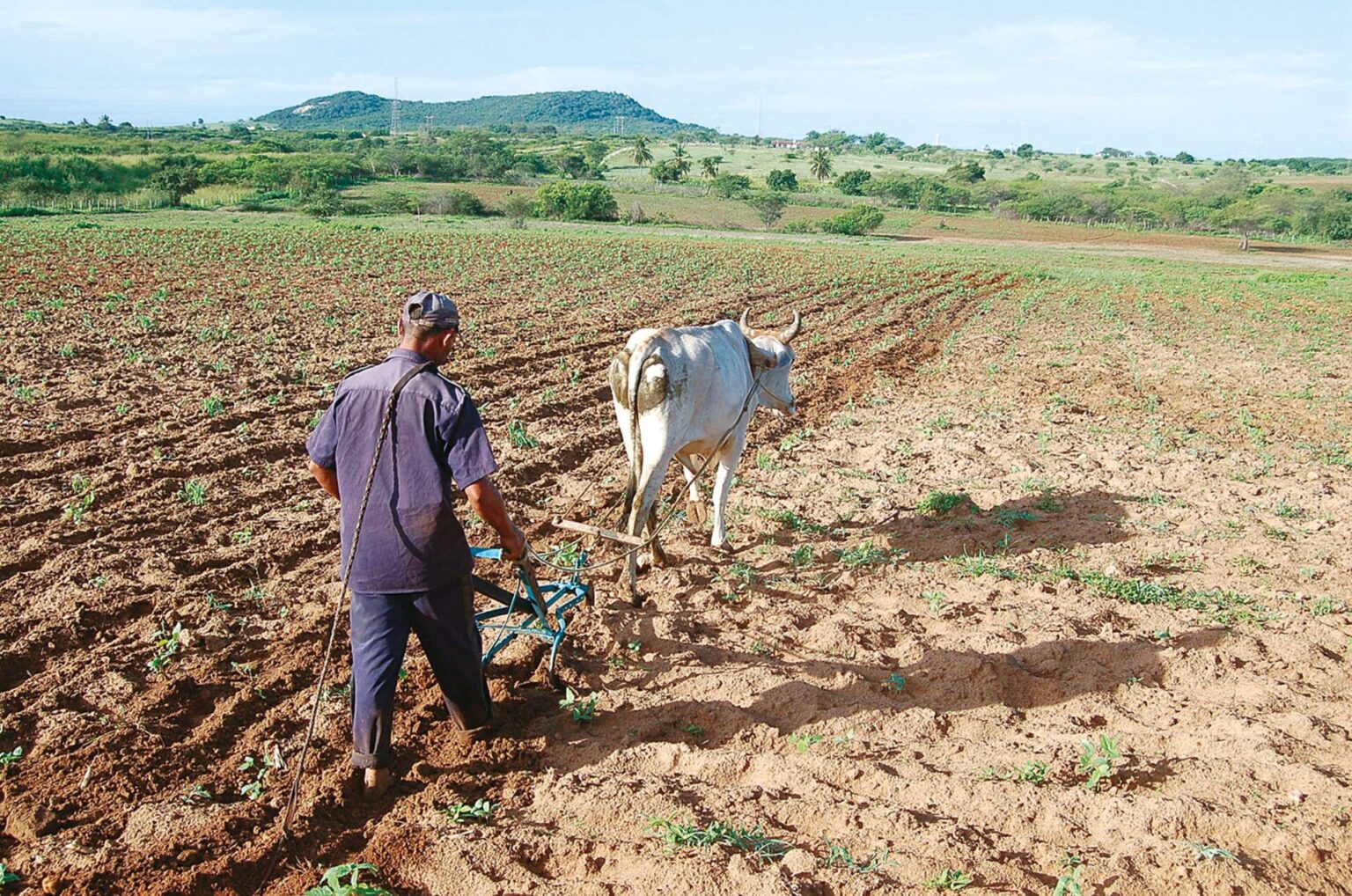 Inadimplência no Agronegócio do RN: Maior Taxa do Nordeste e Quarta do Brasil Inadimplência no Agronegócio do RN: Maior Taxa do Nordeste e Quarta do Brasil