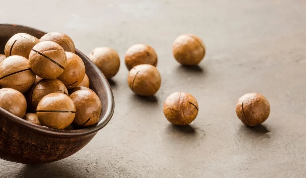 Macadâmia Capixaba Chega a R$ 6,8 Milhões em Exportações, Marcando Recorde Histórico