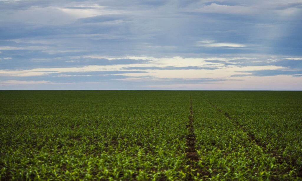 O Futuro do Agronegócio: Expansão e Adaptação às Novas Regras Internacionais