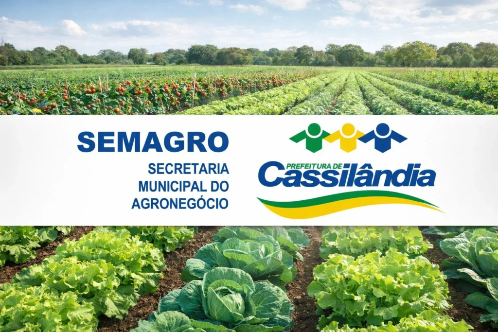 Pesquisa de Campo no Agronegócio: Fortalecendo o Mercado Hortifruti em Cassilândia