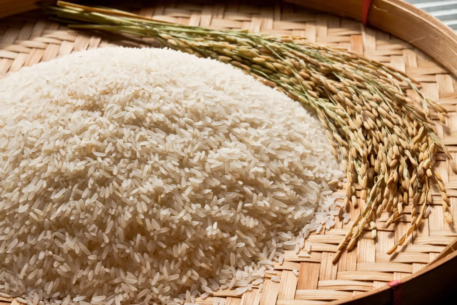 Produção Global de Arroz Enfrenta Queda em 2025 Após Nove Anos de Crescimento