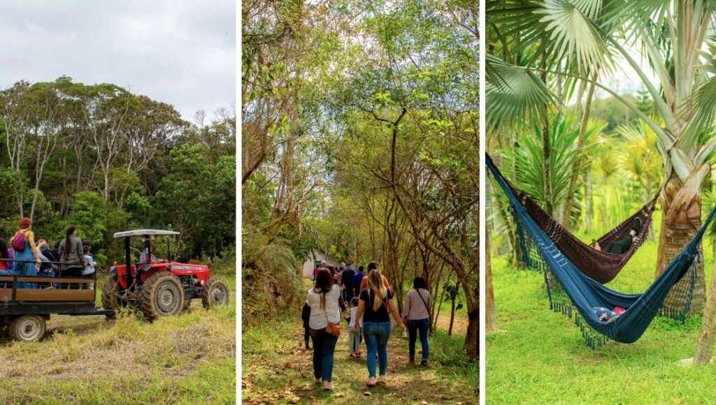 SP Produz: Unindo Sustentabilidade e Cultura na Capital Paulista