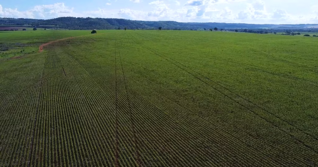 Uberlândia: Atração de Investidores do Agronegócio por Infraestrutura e Logística Eficientes