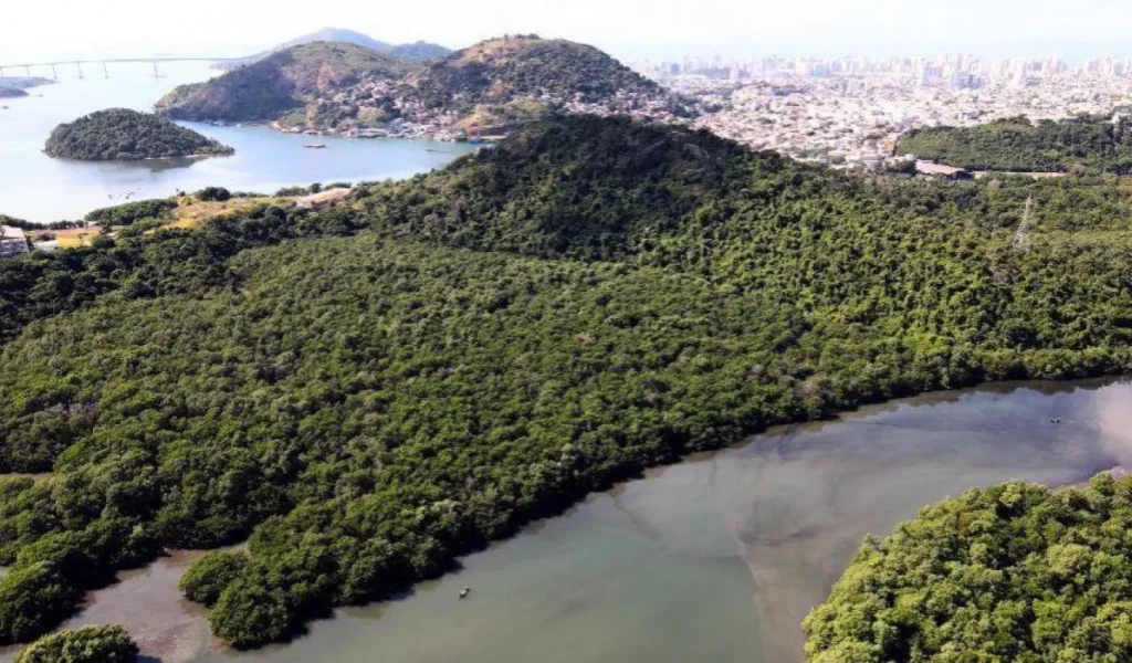 Vila Velha Lança Consulta Pública para Discussão de Questões Ambientais