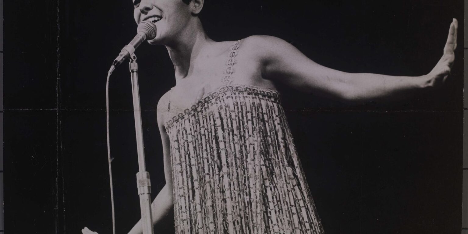 Viva Maria Celebra Elis Regina: 44 Anos de Saudade da Rainha da MPB