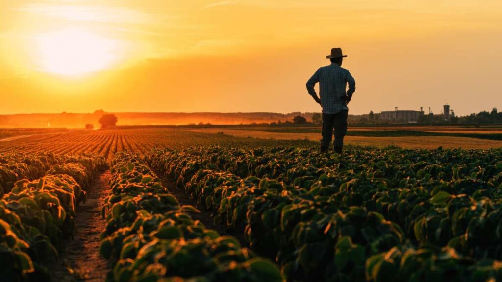 Banco do Brasil ganha impulso: BNDES libera R$ 7,5 bilhões para ajudar produtores rurais Banco do Brasil ganha impulso: BNDES libera R$ 7,5 bilhões para ajudar produtores rurais