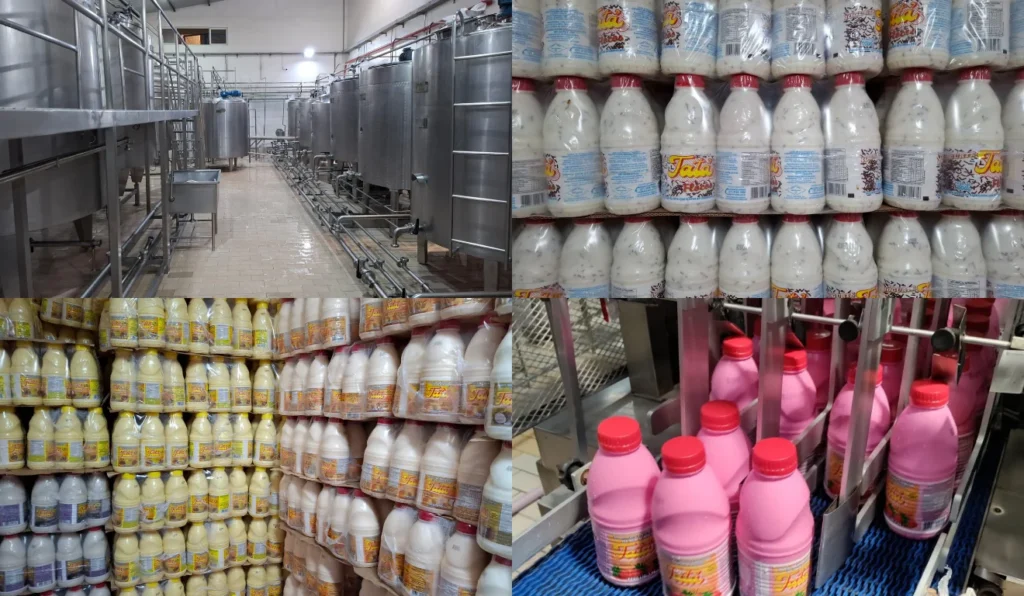 Iogurte Sabor Flocos de Espírito Santo Viraliza e Promete Expansão em 2026