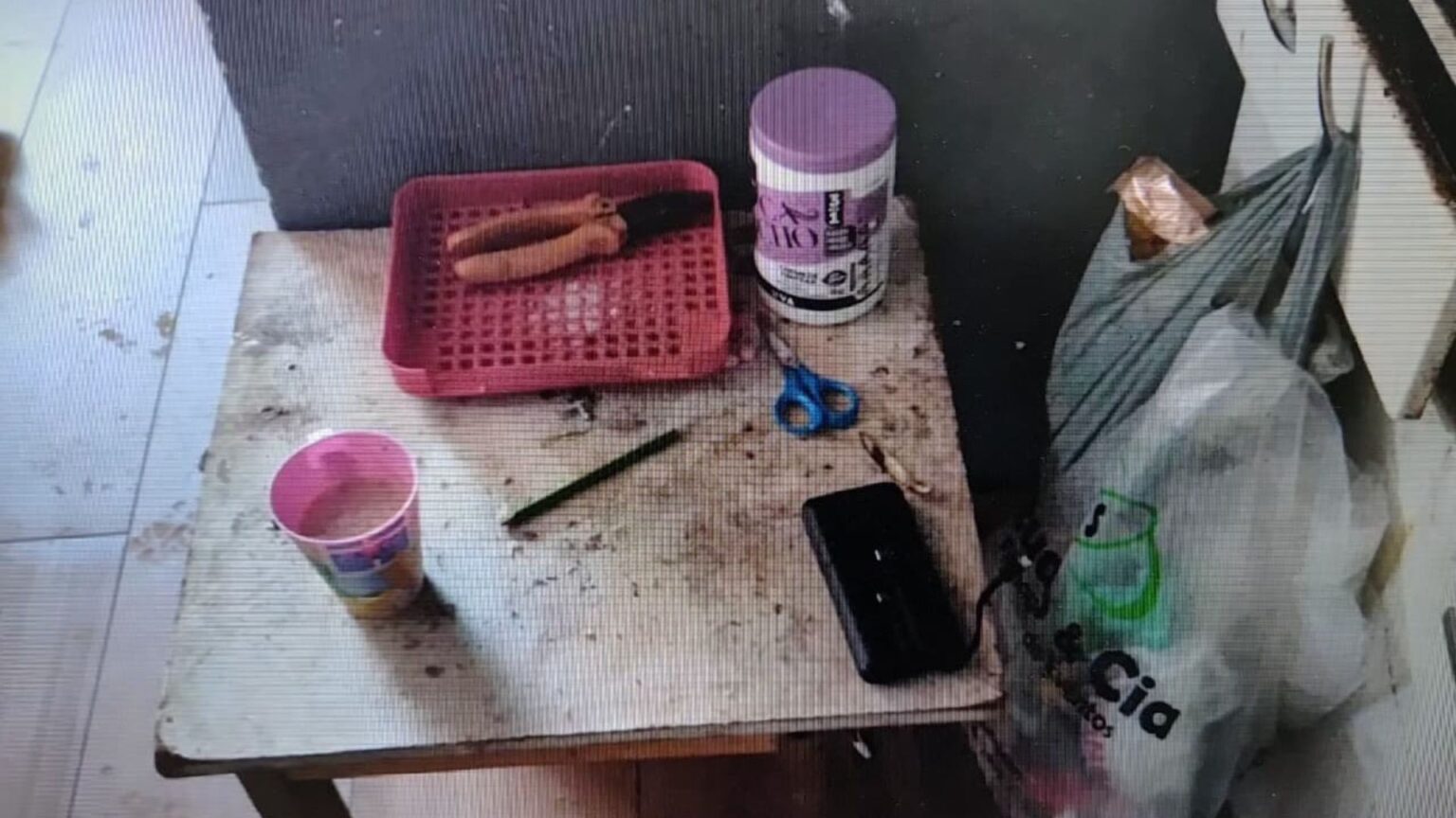 Mãe é Detida por Maus-Tratos a Crianças em Vila Velha: Entenda o Caso