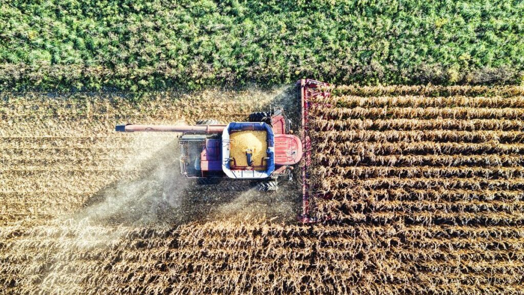 Mudanças no ICMS do Agronegócio em Santa Catarina: Quem se Beneficia?