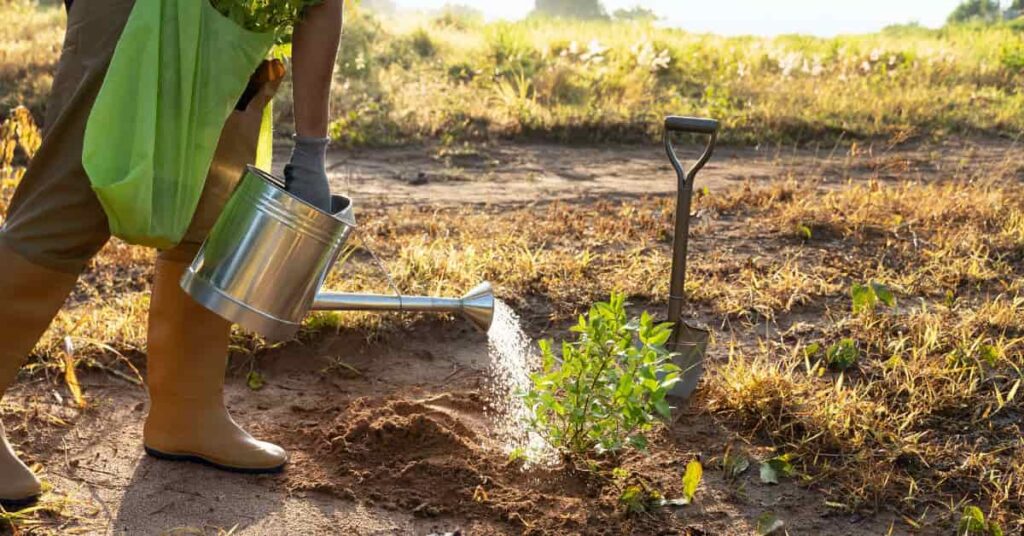 Pressão Hídrica no Agronegócio: Aumento do Consumo de Água em Cadeias de Carne e Soja