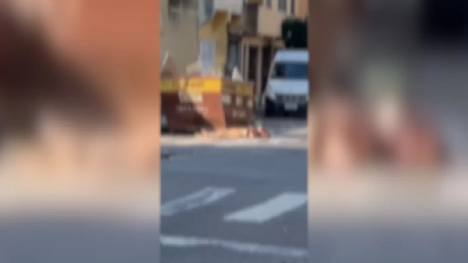 Ataque de Abelhas em Vila Velha Deixa Seis Feridos; Mulher Desmaia durante Incidente