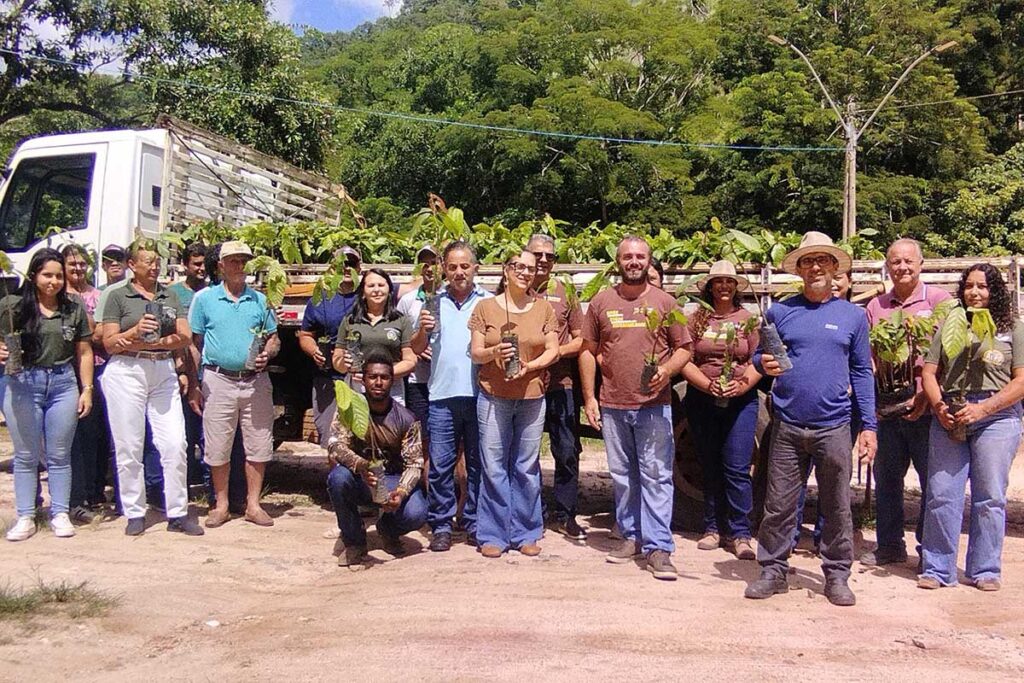 Cacau em Conceição do Castelo: Entrega de 3 mil Mudas Fortalece a Agricultura Familiar