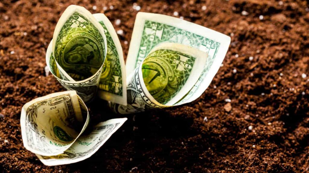 Cédulas de Produto Rural atingem R$ 561 bilhões em financiamento no agronegócio Cédulas de Produto Rural atingem R$ 561 bilhões em financiamento no agronegócio