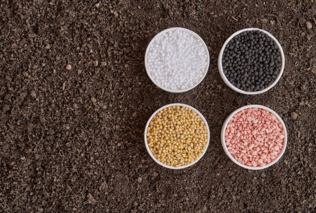 Custos de Fertilizantes em Alta: Desafios para Produtores de Grãos em 2026 Custos de Fertilizantes em Alta: Desafios para Produtores de Grãos em 2026