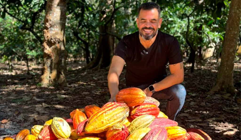 Espírito Santo: O Cacau como Potência Agrícola e Ingrediente de Destaque Nacional