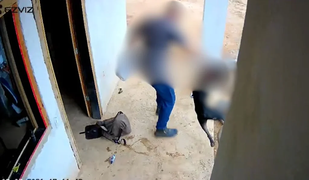 Indiciado por Crime de Maus-Tratos: Homem Ataca Pitbull em Vila Velha