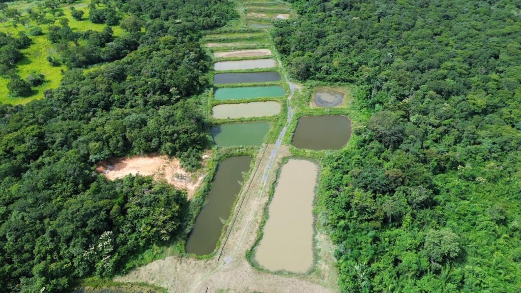 Inovação no Agronegócio: Embrapa Inaugura Unidade Estrategicamente Localizada em Mato Grosso