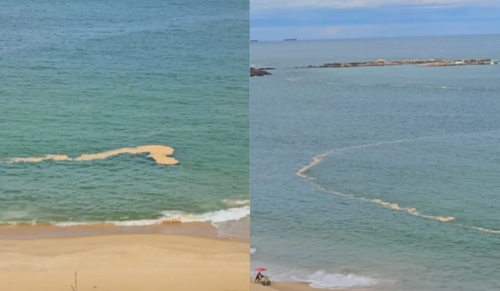 Mistério no Mar: Entenda a Mancha que Apareceu na Praia da Costa Mistério no Mar: Entenda a Mancha que Apareceu na Praia da Costa