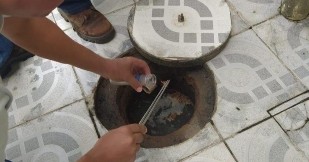 Prevenção e Atendimento em Picadas de Escorpião: Orientações da Saúde de Maceió