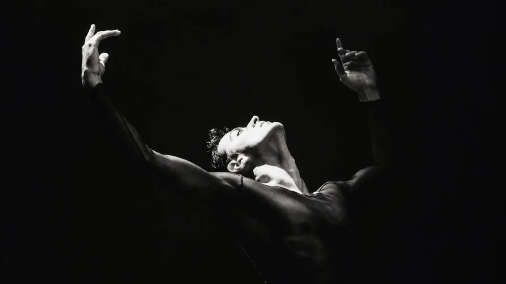 A Dança no Brasil: Reconhecimento e Novos Horizontes para a Profissão
