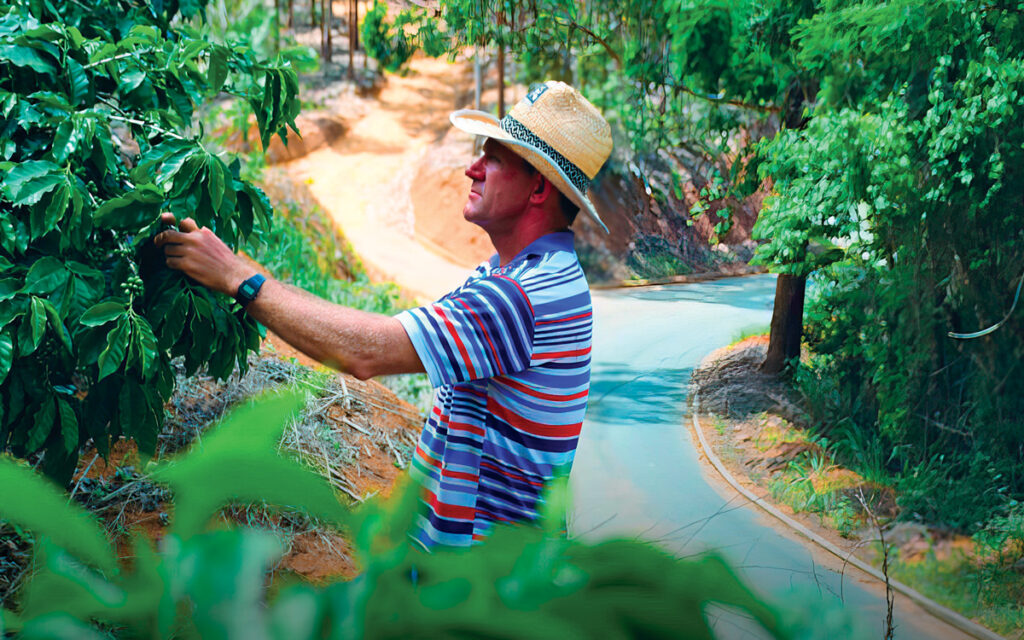 Agronegócio Capixaba: Pilar da Economia do Espírito Santo