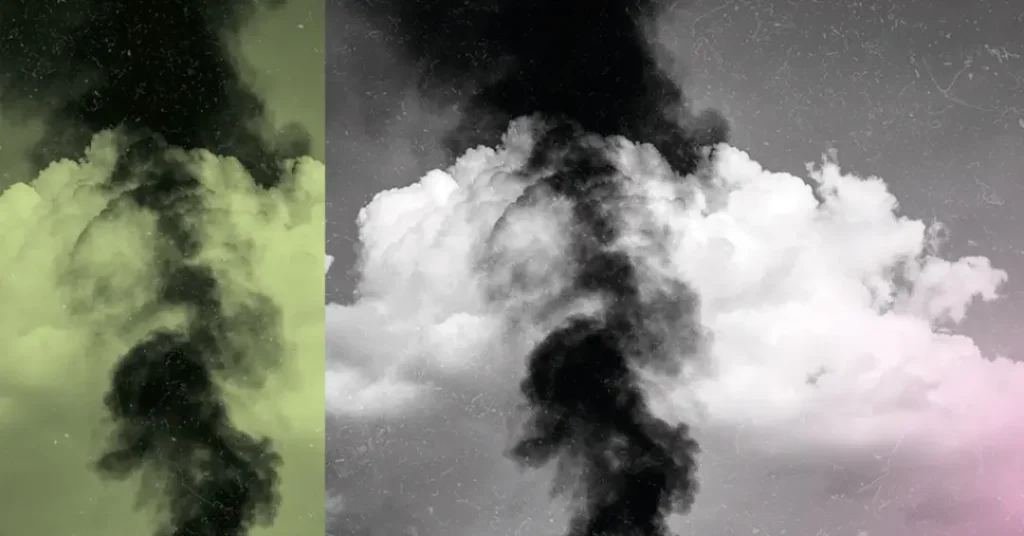 Agronegócio e a Redução da Retenção de CO₂: Um Estudo Revelador