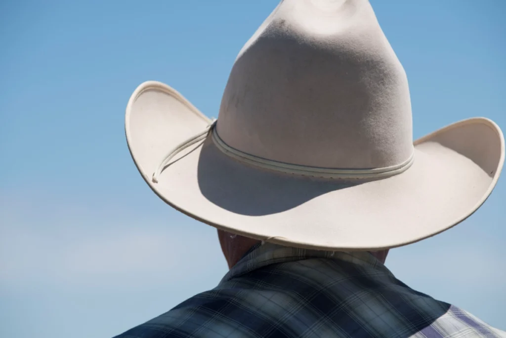 Conflito entre Agronegócio e Conservação: A Criação do Parque Nacional do Albardão em Debate