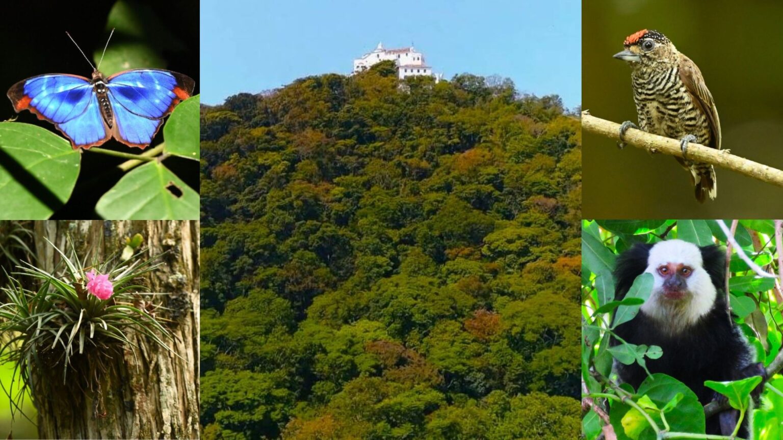 Convento da Penha: Um Refúgio de Fé e Natureza em Vila Velha