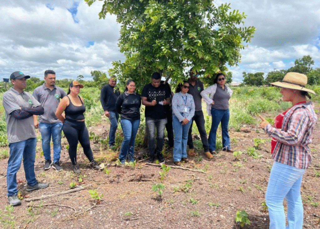 Cursos Técnicos Gratuitos em Agronegócio: Uma Oportunidade de Qualificação em Mato Grosso