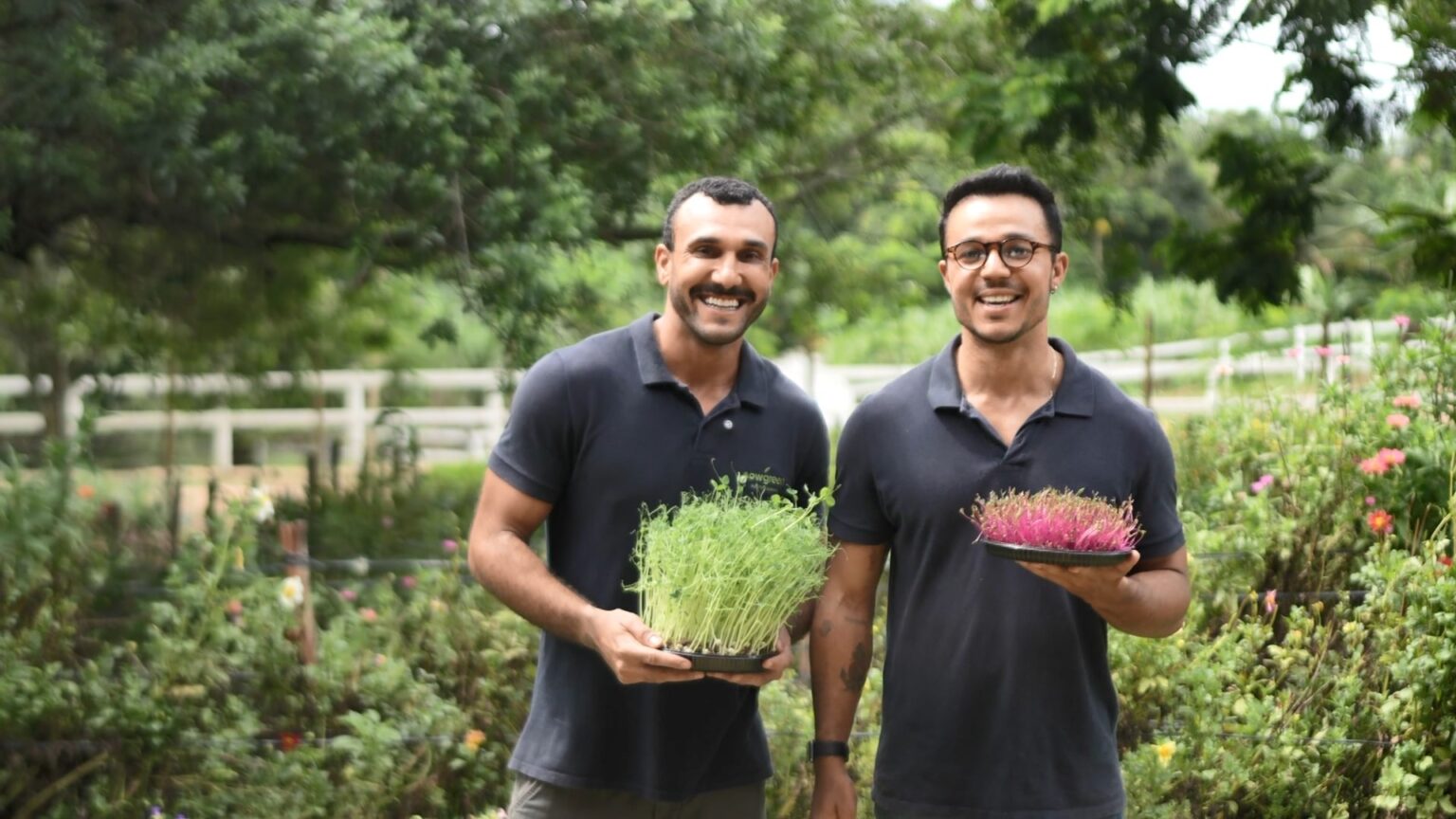 De ‘mato de comer’ à alta gastronomia: agrônomo transforma plantas comestíveis em sucesso no Espírito Santo De 'mato de comer' à alta gastronomia: agrônomo transforma plantas comestíveis em sucesso no Espírit