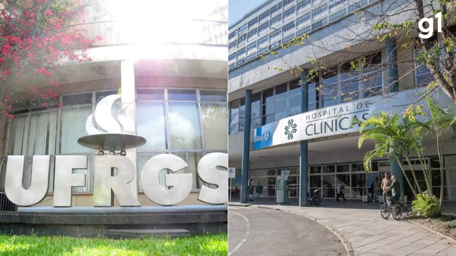 Desigualdade de Gênero Afeta Saúde Mental dos Filhos, Revela Estudo de Mais de 20 Anos