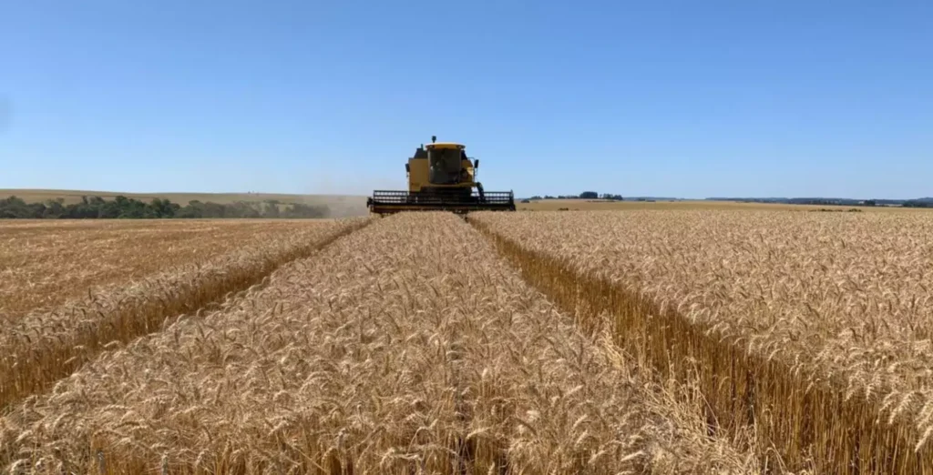 Guerra Impacta Agronegócio Global, Mas Brasil Se Destaca em Relação aos EUA