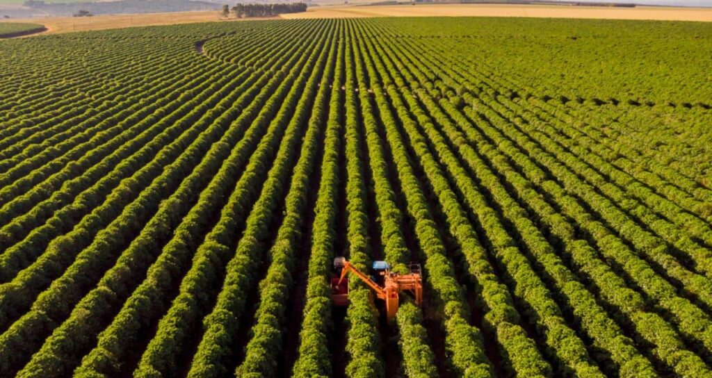 Inadimplência no Agronegócio: Banco do Brasil Enfrenta Desafios, Mas Espera Reviravolta