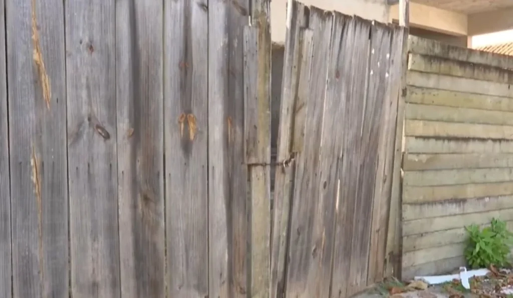 Invasão em Vila Velha: Três Armas e Outros Itens Furtados em Residência