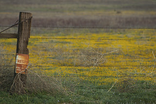 Parceria Inova Processo Judicial no Agronegócio com Uso de Dados Técnicos Parceria Inova Processo Judicial no Agronegócio com Uso de Dados Técnicos